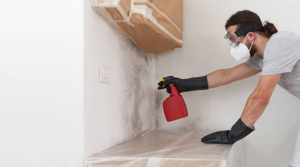 Professional Attic Mold Remediation technician working in Glen Richey, PA