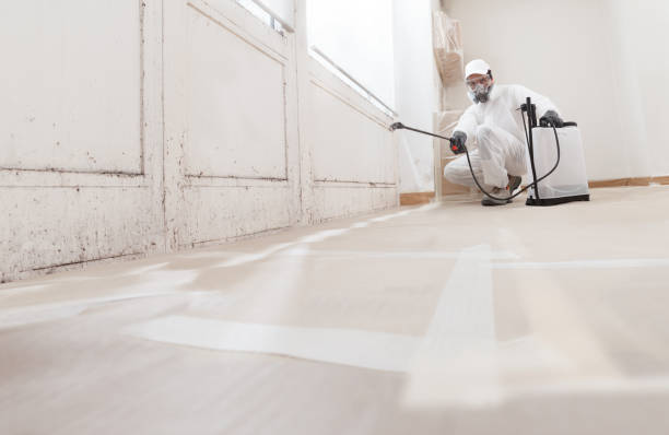 24/7 Emergency Attic Mold Remediation experts in Glen Richey, PA