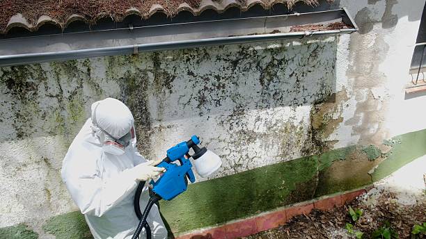 Top rated local Attic Mold Remediation specialists in Glen Richey, PA